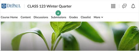 d2l usdt|Current Student .